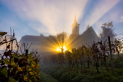 Idyllic view of Church of the Sorrowful Mother of God with beautiful sunbeam against sky during sunrise seen through vineyard