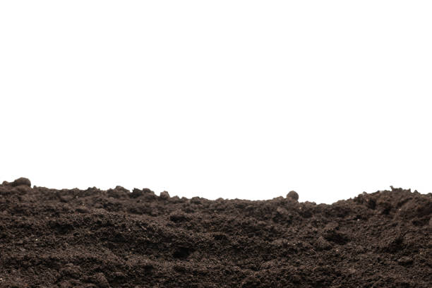 istock Black land for plant isolated on white background. 1466768624