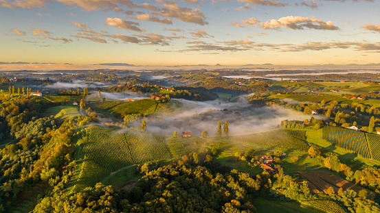 Aerial view of lush trees and dramatic landscape against cloudy sky during sunset at Slovenia