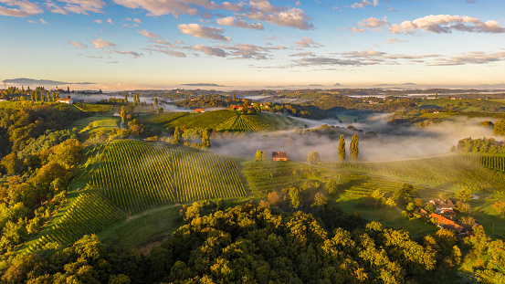 Drone shot of lush trees and dramatic landscape against cloudy sky during sunset at Slovenia