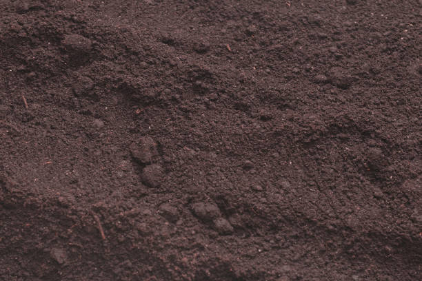 istock Black land for plant background. Top view. 1466768719