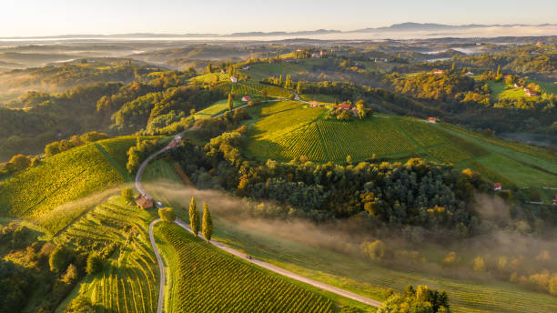 istock Drone view of lush terraced field and dramatic landscapes 1466768727
