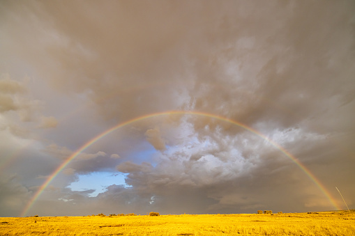 Idyllic view of beautiful curve of rainbow over grassy landscape against storm clouds in dramatic sky at National Park in Kenya,East Africa