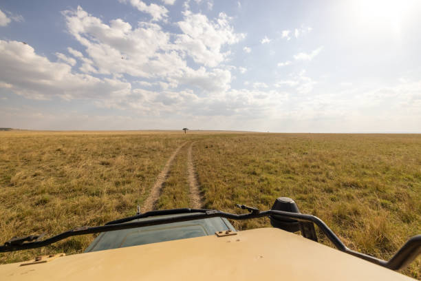 istock Off-road vehicle on arid grassy landscape against sky 1466769263