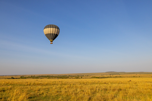 Hot air balloon flying over grassy landscape against clear blue sky during sunny day at Maasai Mara National Reserve in Kenya,East Africa