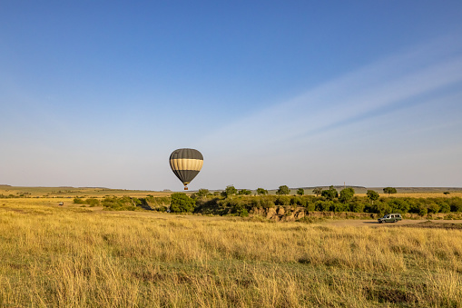 Hot air balloon flying over green landscape against clear sky during sunny day at Maasai Mara National Reserve in Kenya,East Africa