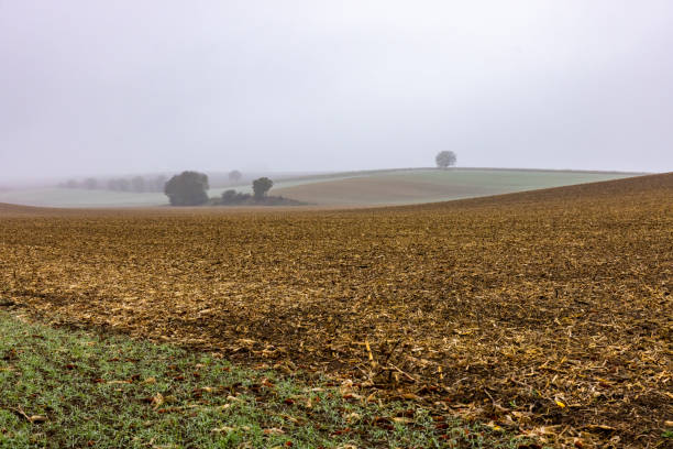 Scenic view of fog over agricultural field in countryside against sky