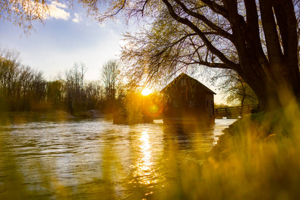 Beautiful view of boathouse surrounded by trees on riverbank