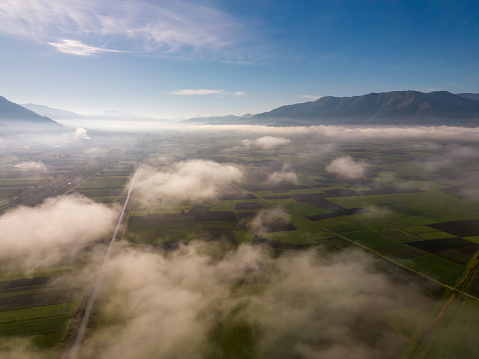 Scenic view of morning fog over an agricultural landscape