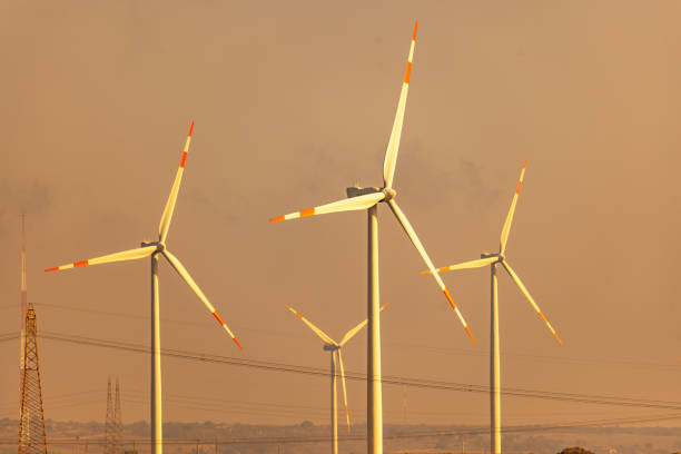 Tall wind turbines with clear sky in background during sunset
