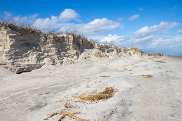 istock Dunes on the beach at Jekyll Island 1466775355