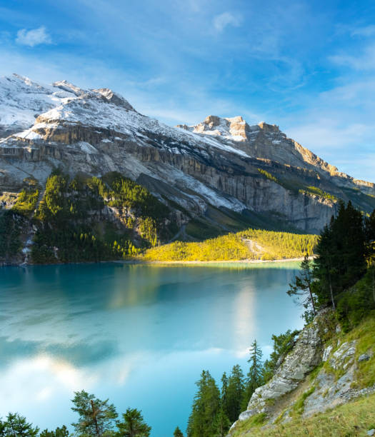 Morning view of lake Oeschinensee. Swiss alps, Switzerland Idyllic morning view of the lake Oeschinensee. Location Swiss alps, Switzerland, Kandersteg district. Blue mountain lake with pine trees and mountains in background. lake oeschinensee stock pictures, royalty-free photos & images