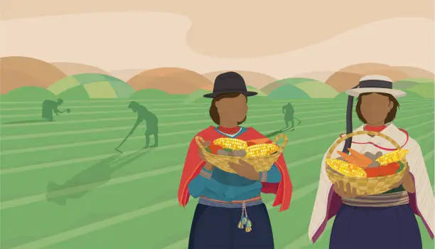 Vector illustration of Indigenous women from Ecuador carrying baskets with corn, potatoes and carrots against background of green field with silhouettes of women working with hoe. Vector image