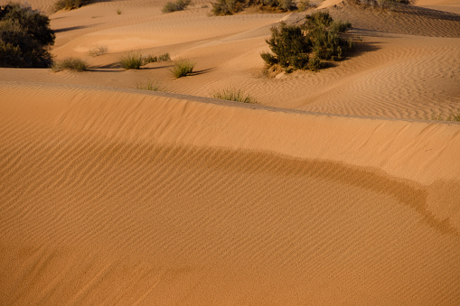 Peaceful desert landscape
