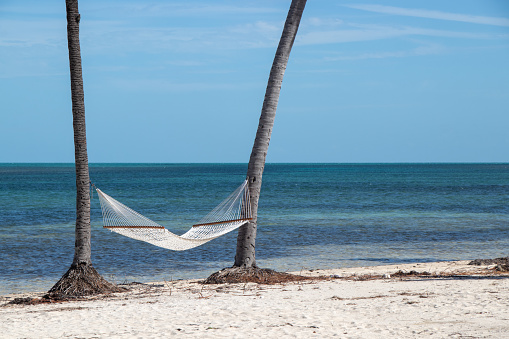 empty hammock on a beach between two palm trees on a tropical island