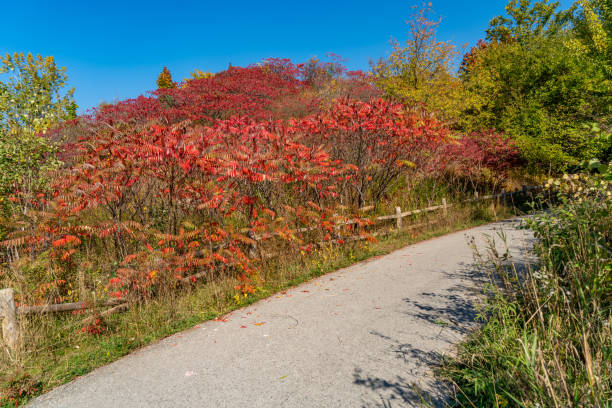 istock Don Valley Brick Works Park, Toronto, Canada 1466777669