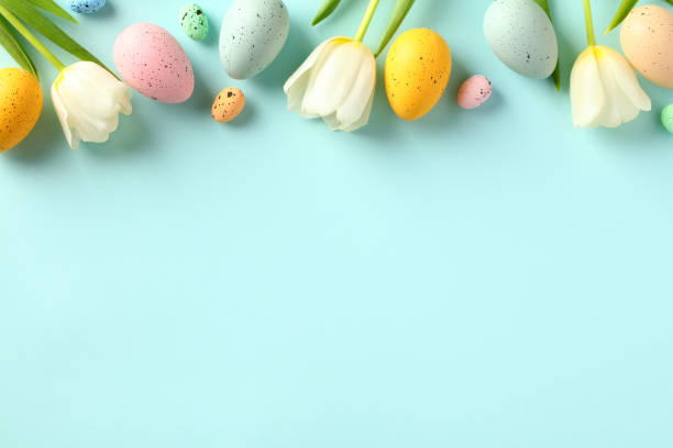 Happy Easter concept. Frame top border made of tulips spring flowers and colorful Easter eggs on light blue background. stock photo