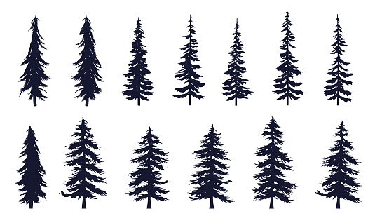 Set of various high detailed trees on white background