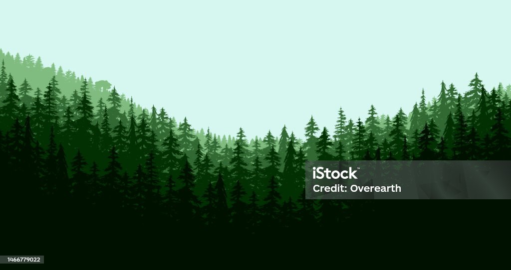 Green Forest Vector Background Stock Illustration - Download Image Now