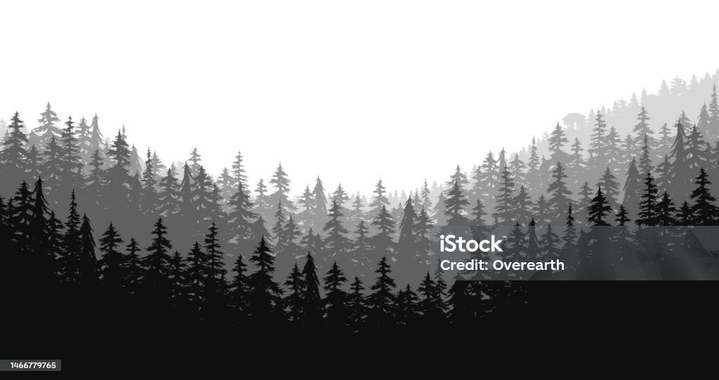 Vector Forest In Black And White Colour Stock Illustration - Download