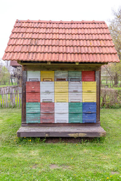 Beehives on the farm