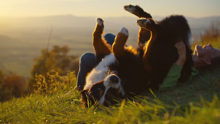 SLO MO Woman have fun playing with her dog in the grass on a hill at sunset