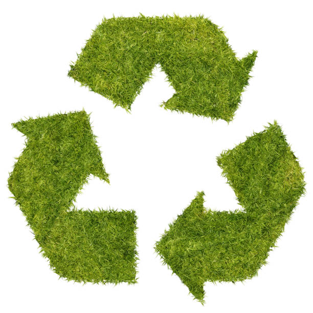 istock Recycling concept. Three arrows in a circle made from grass. Isolated on white 1466784850