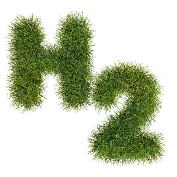 istock Green Hydrogen concept: The letters H2 as green grass isolated on white background. 1466784882