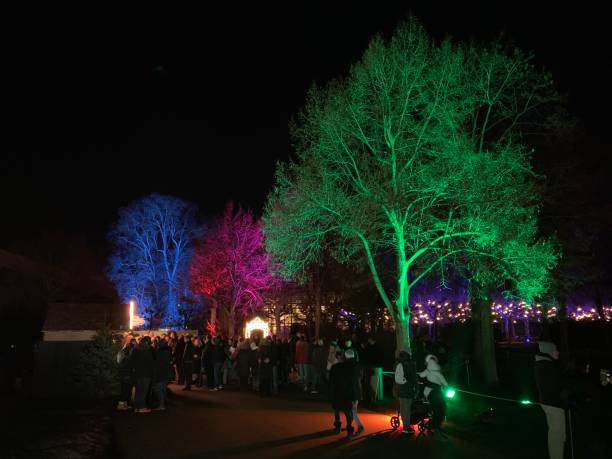 istock impressions of a light garden 1466787235