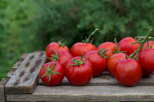fresh tomatoes on a wooden farm box