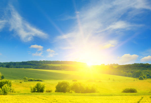 istock Sunrise over a field of wheat 1466800667
