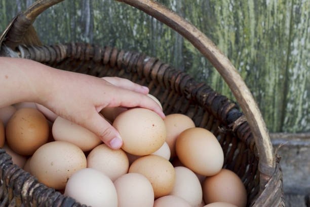istock still life with child hand and  eggs in basket 1466801446