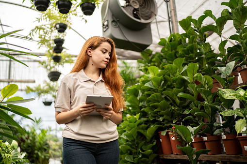 Young woman analyzing plants while use digital tablet in a garden shop