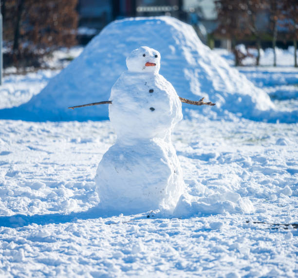 istock Lonely snowman in a snowy field.. 1466809209