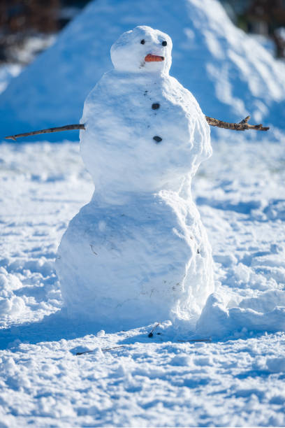 istock Lonely snowman in a snowy field.. 1466809240