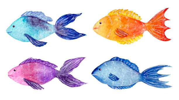 ilustrações de stock, clip art, desenhos animados e ícones de bright and colorful watercolor fishes collection isolated on white background. - animals and pets isolated objects sea life