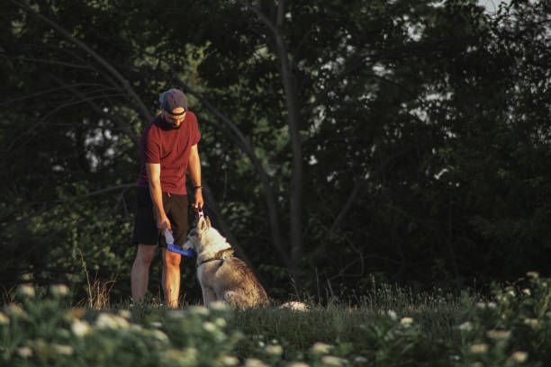 istock Young man walking his husky dog in forest 1466812861