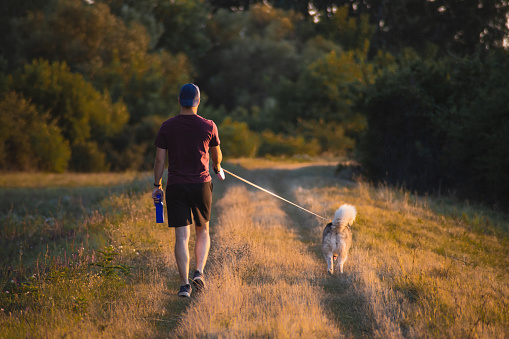 Young man walking his husky dog in leash in nature on a summer afternoon. The background is full of with wild colorful flowers and green trees. Shot from behind.