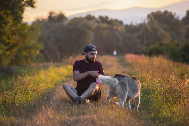 istock Young man sitting in grass and playing with  his dog 1466813003