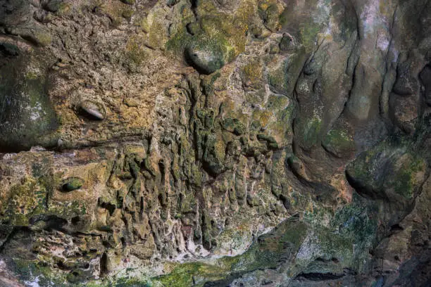 Photo of Close-up view of wall texture in mountain cave. Aruba island.