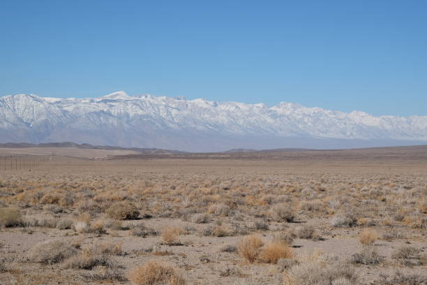 istock Roadrtip_To_Death_Valley 1466820995