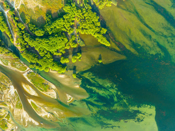 istock Overhead view of water making its way. 1466831029