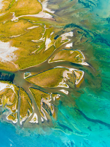 istock Veins of earth. 1466831044