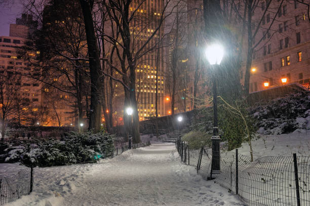 istock Central Park in winter  snow storm 1466833086