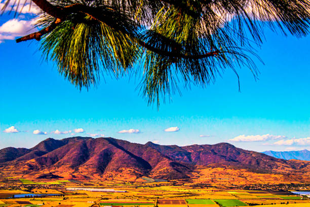 An evergreen branch frames the top of a picture from the Mirador de la Cruz above Etzatlan Jalisco Mexico. The farm fields are colorful and the barren mountain is in the distance.  It is a beautiful blue sky day.