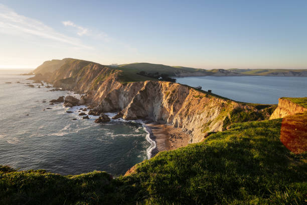 punkt reyes narodowy wybrzeże - point reyes national seashore northern california beach california zdjęcia i obrazy z banku zdjęć