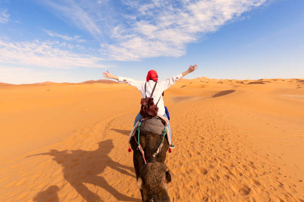 ein touristenmädchen mit einem traditionellen marokkanischen roten kleid, offenen armen, reitet auf einem dromedar in der sahara von merzouga, marokko - camel desert travel safari stock-fotos und bilder