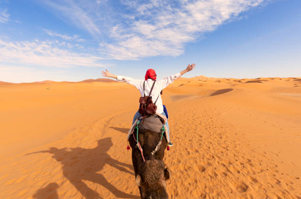 una ragazza turistica con un abito rosso tradizionale marocchino, braccia aperte, cavalcando un dromedario nel deserto del sahara di merzouga, marocco - camel desert travel safari foto e immagini stock