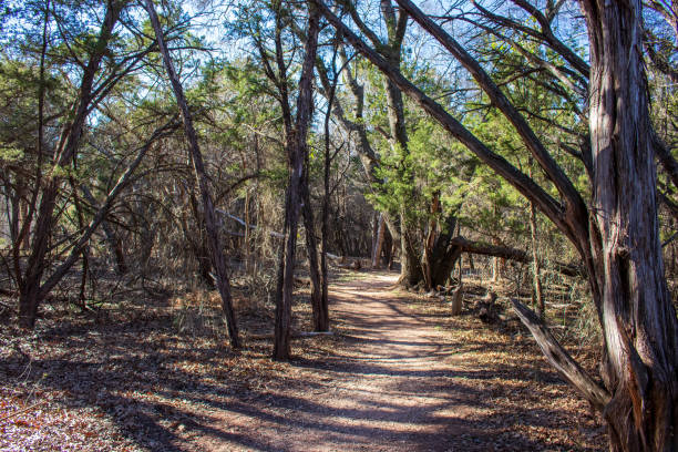 Nature trail Abilene Stat Park A peaceful walk on a nature trail in the Texas Hill Country, Abilene Texas State Park abilene texas stock pictures, royalty-free photos & images