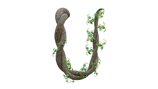 Tree grow or vine in the shape of the English text. Letter font U. with clipping path. 3D Render.